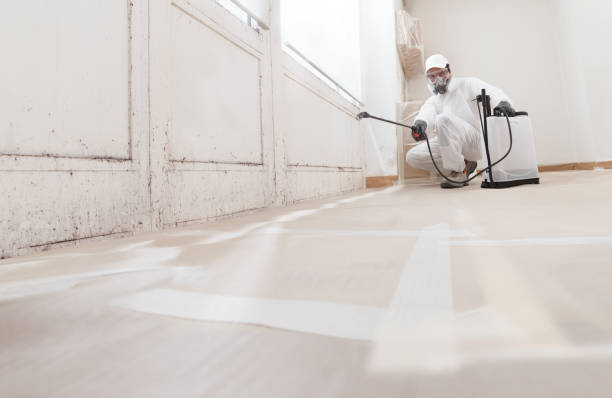 24/7 Emergency Basement Mold Remediation experts in Winter Park, FL